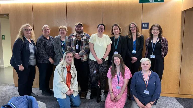 Members of the BSL Implementation Group.
